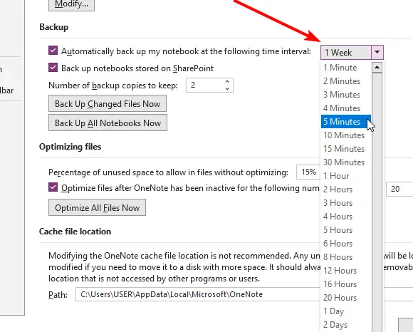 How to Backup OneNote