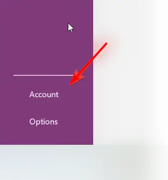 How to Use OneNote