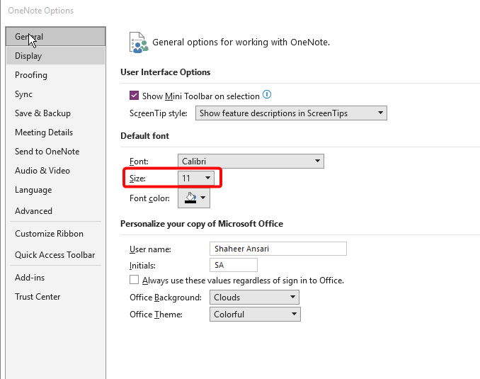 How to Change Default Font & Size in OneNote